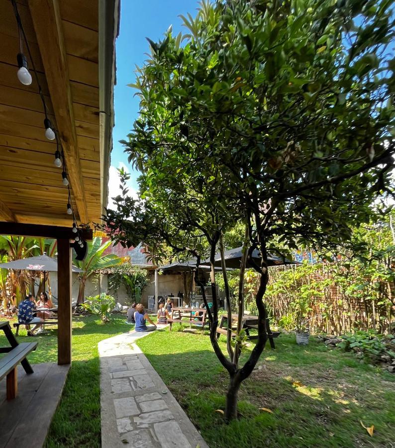 The Coffee Bean Hostel San Cristobal de las Casas Luaran gambar