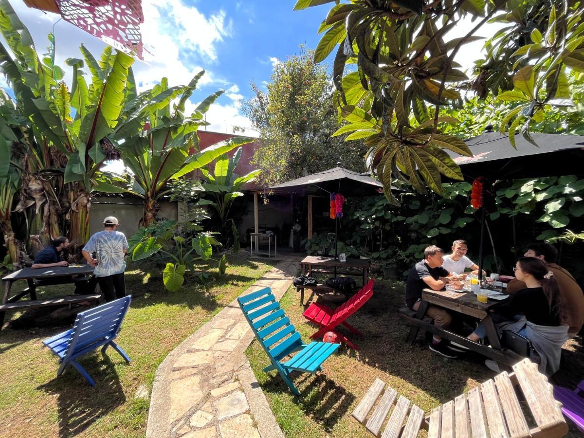 The Coffee Bean Hostel San Cristobal de las Casas Luaran gambar