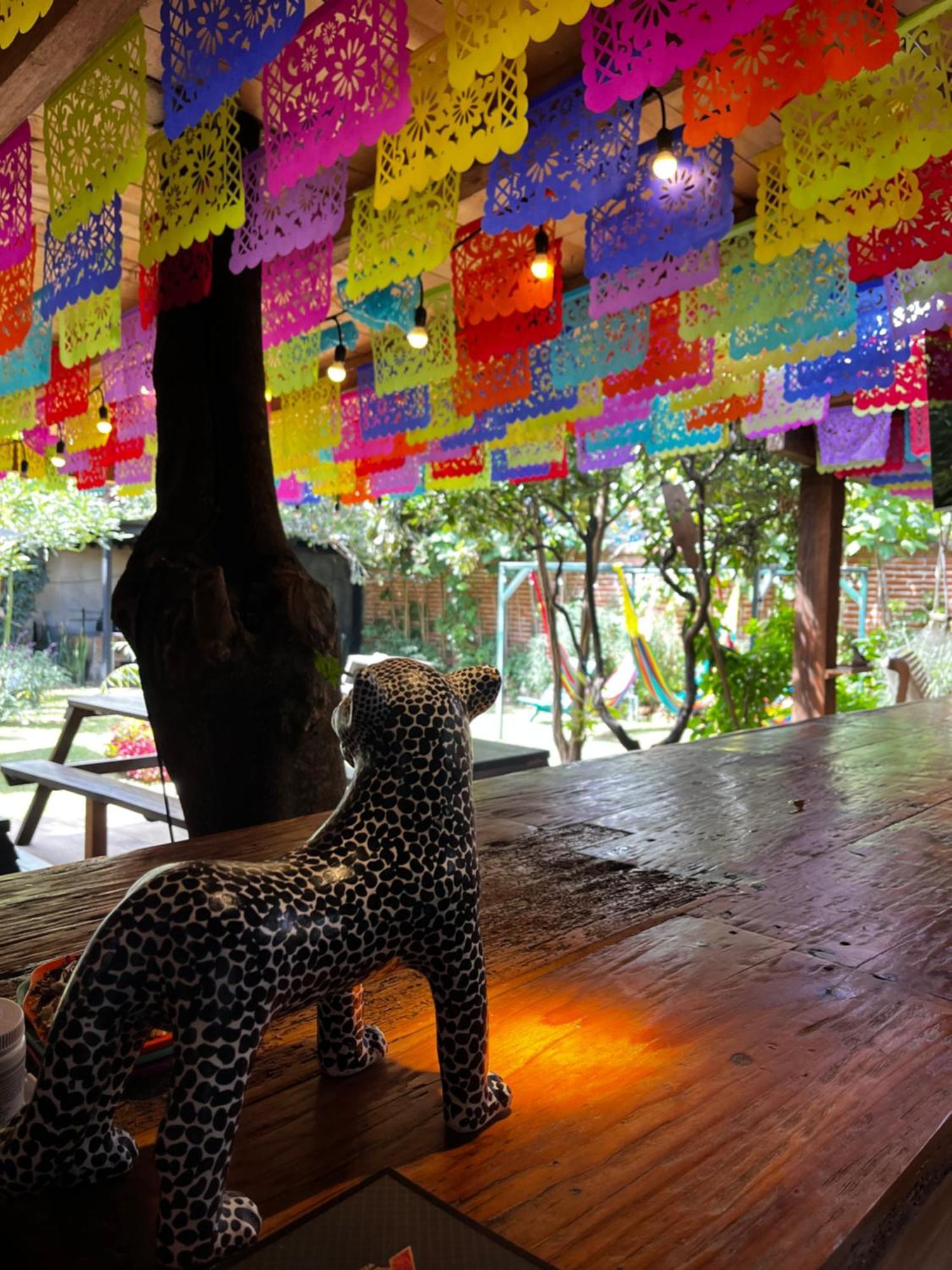 The Coffee Bean Hostel San Cristobal de las Casas Luaran gambar