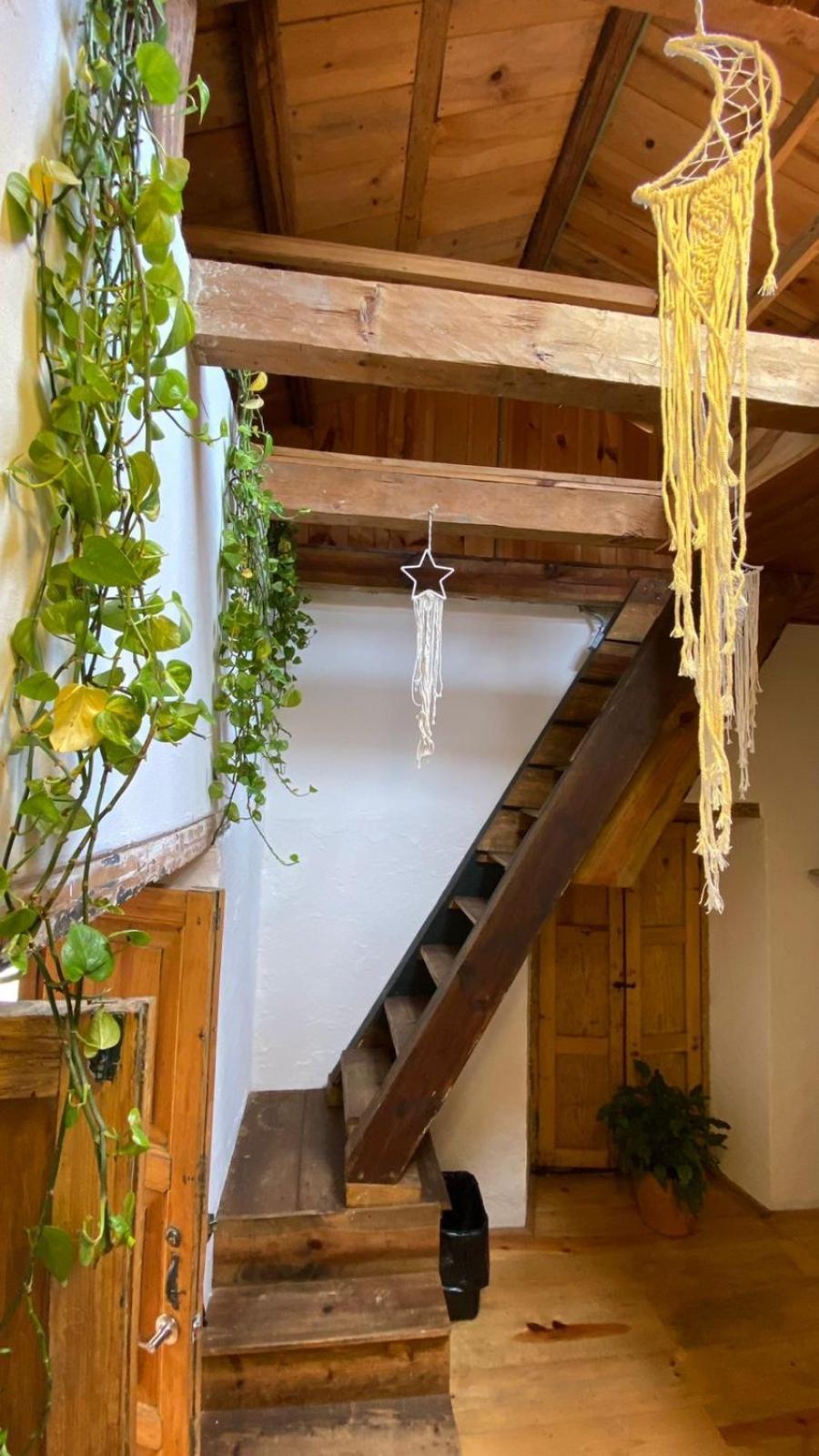 The Coffee Bean Hostel San Cristobal de las Casas Luaran gambar
